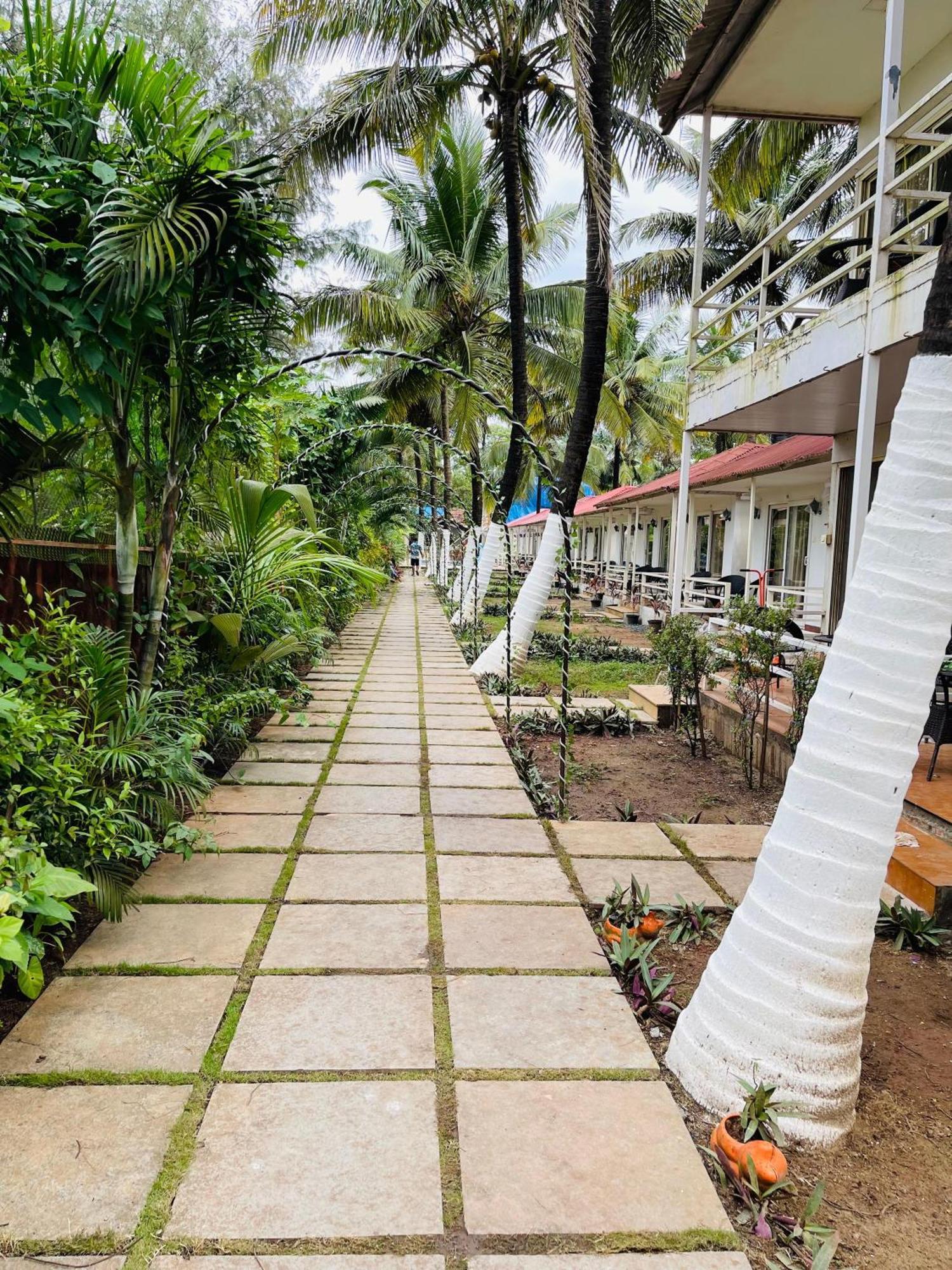 Arabian Sea Beach Resort มอร์จิม ภายนอก รูปภาพ