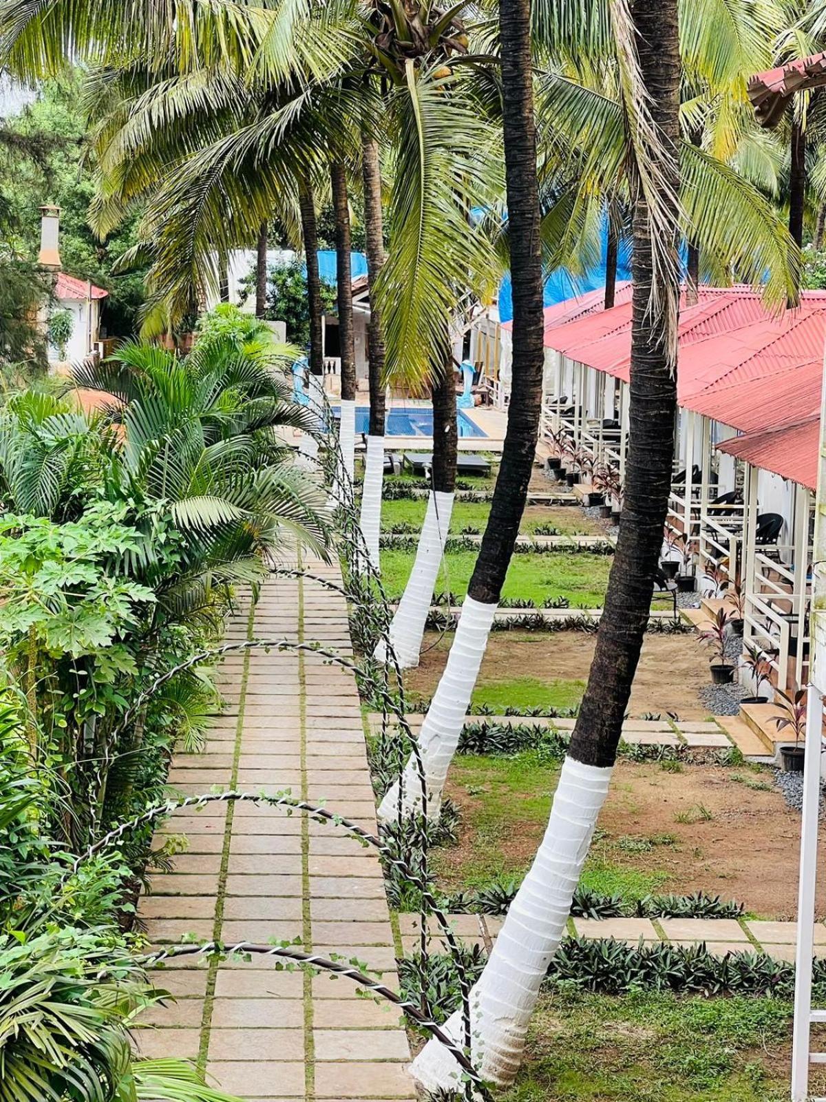 Arabian Sea Beach Resort มอร์จิม ภายนอก รูปภาพ